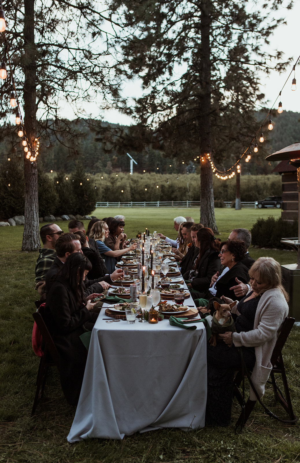 Wedding photo